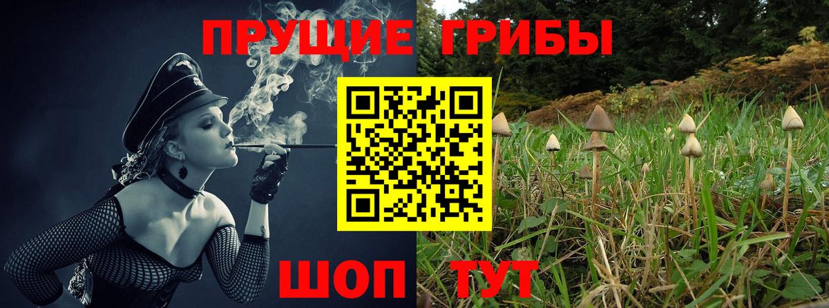 Галлюциногенные грибы мухоморы  Галлюциногенные грибы Psilocybine cubensis  Ессентуки  Вход с VPN 